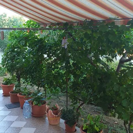 With A Parking Space Privlaka, Zadar - 12989 Апартаменты Привлака