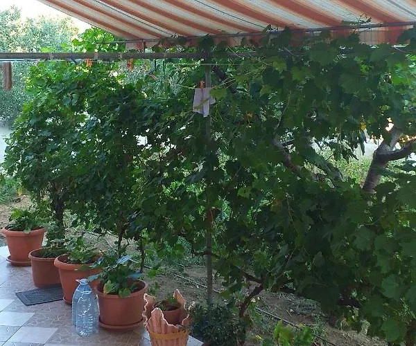 With Parking Space Privlaka, Zadar - 12989 Lägenhet Privlaka (Zadar)